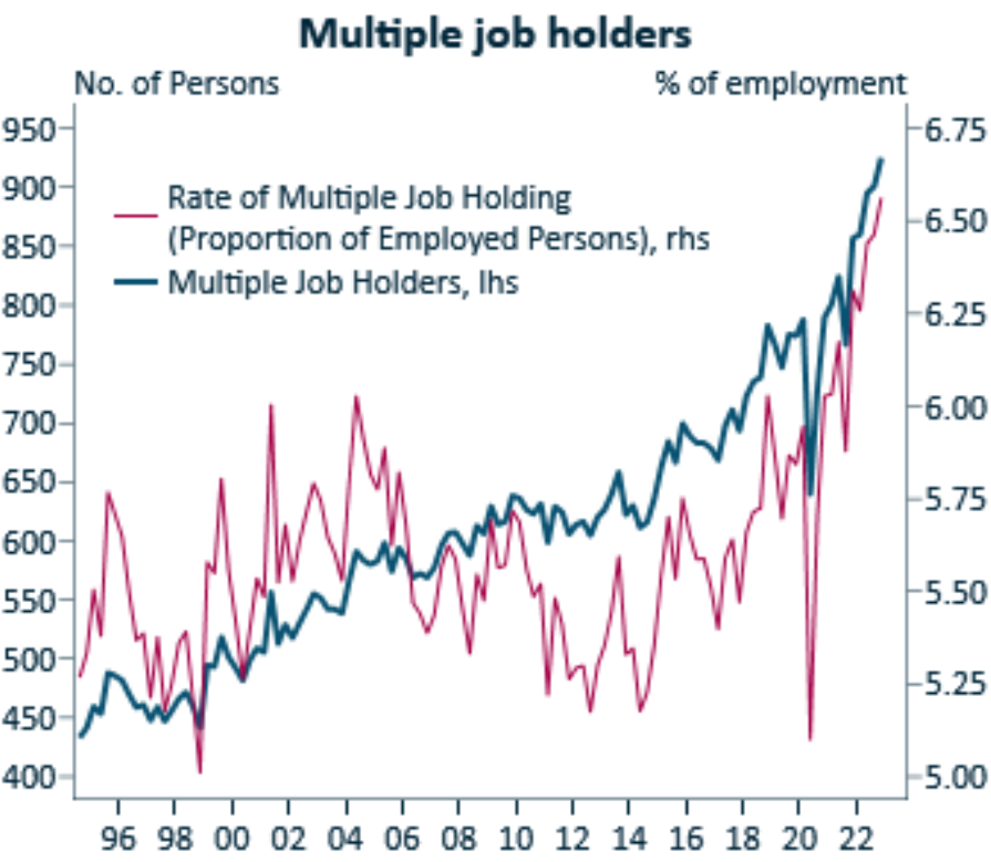 Multiple job holders